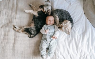 Bambini e animali domestici